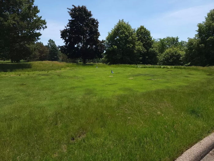 The Jewel of Grand Blanc - From Banana 1015 Radio (newer photo)